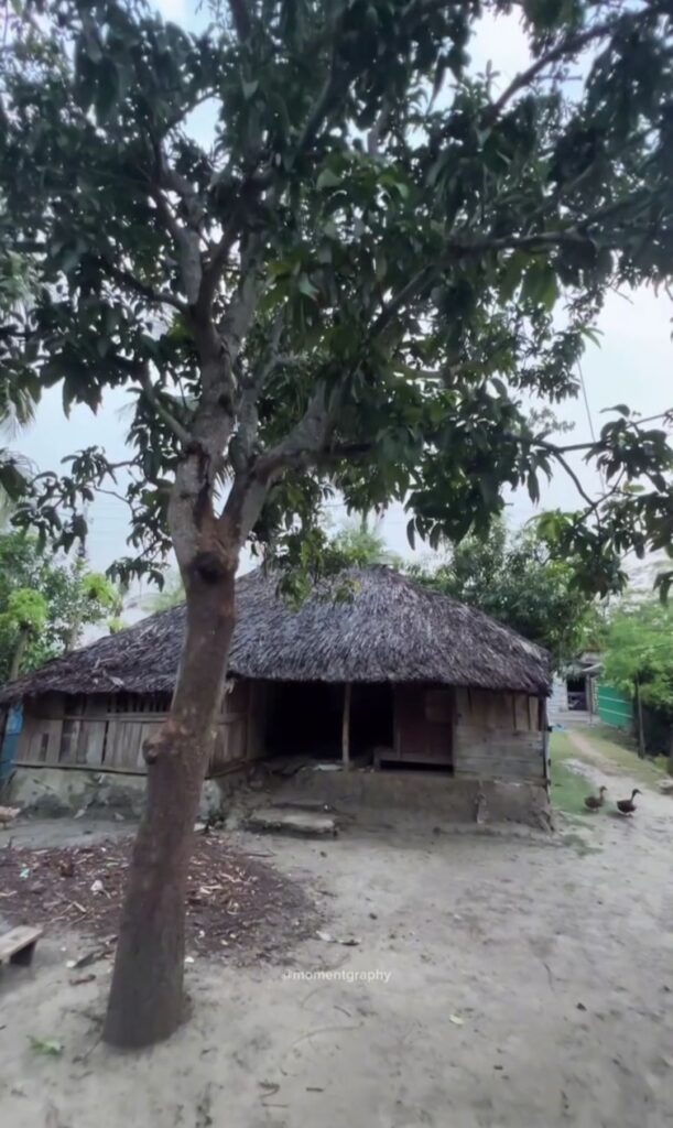 আমাদের পাড়া আমাদের সমাধান